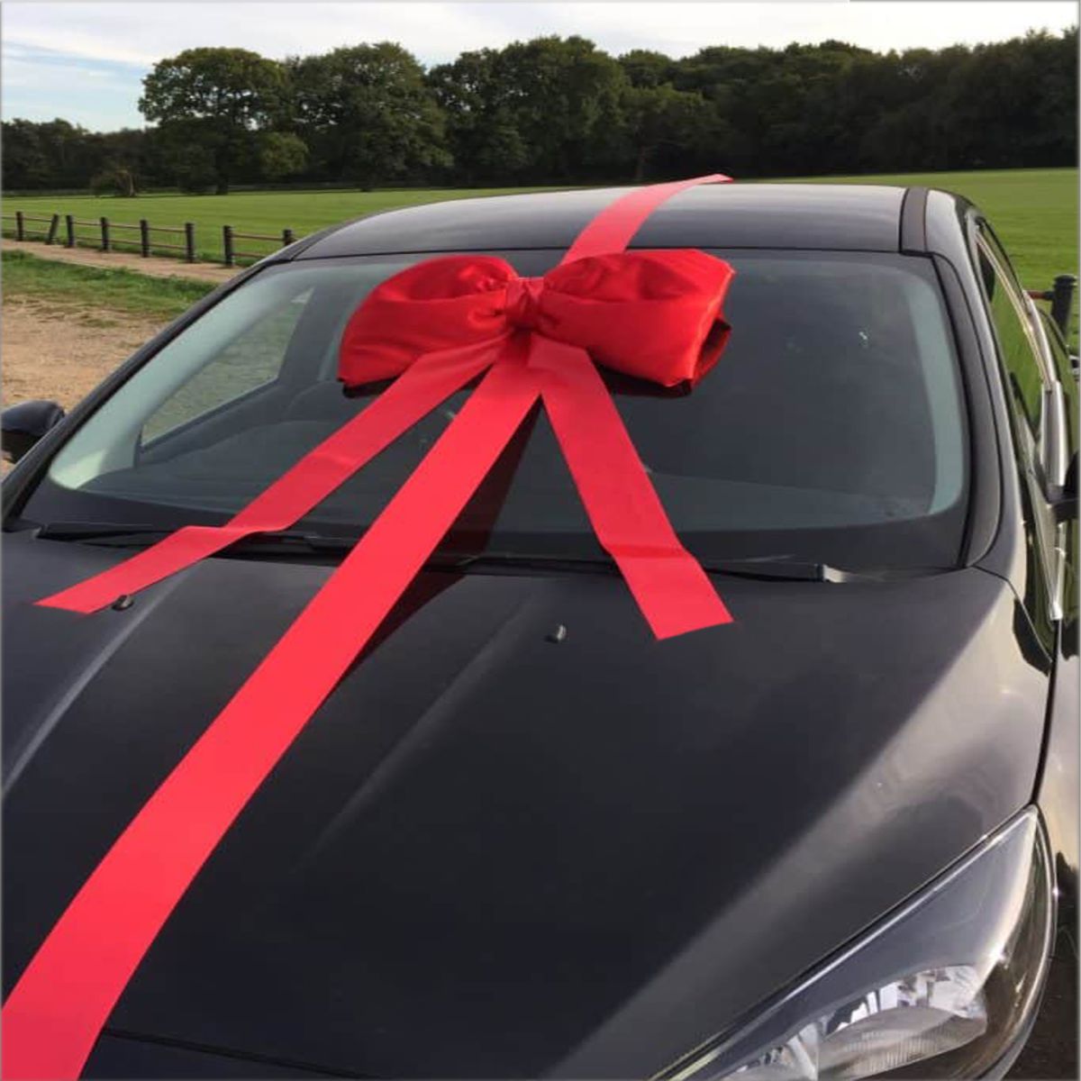 ferragamo belt with diamonds