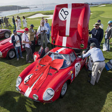 Load image into Gallery viewer, Klingshield Big Red Car Bow