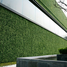 Load image into Gallery viewer, Klingshield Artificial Ivy Green Wall Panels - Star Jasmine - 1m2